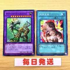 遊戯王　ナチュルエクストリオ　突然変異　セット　まとめ売り　ピヴォ