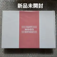 SEVENTEEN 2022 バパケ ウジ 新品未開封のサムネイル