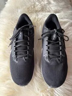 Nike Air Zoom Pegasus40
