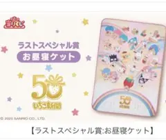 ラストスペシャル賞 サンリオキャラクター お昼寝ケット