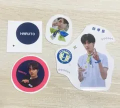 TREASURE ハルト ステッカーセット