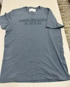 アバクロ　Tシャツ