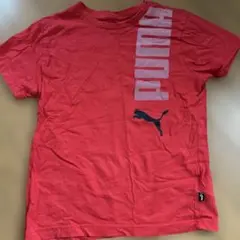 PUMA 赤 Tシャツ サイズ150