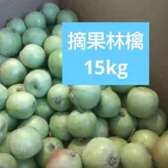 摘果林檎 サンふじりんご他 15kg 送料込みのサムネイル