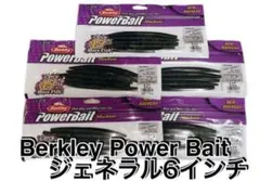 【新品未使用‼️】Berkleyジェネラル(ブラックブルーフレック)のサムネイル