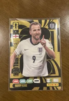 PANINI ADRENALYN XL FIFA worldCUP レア ケイン