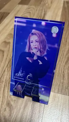 ラティメリア・カルムナエ【プロフ必読】様 リクエスト 2点 まとめ商品