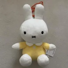 Item thumbnail for item 358ec1eb-bbd9-4385-a618-8647a250a970