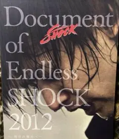 2025年最新】endless shock dvd 2012の人気アイテム - メルカリ
