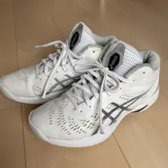 Item thumbnail for item 4c30078d-2993-4447-a89d-b26451a19659