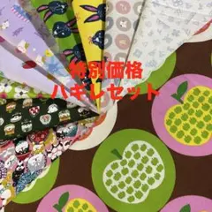 53 特別価格　ハギレセット　10枚セット　りんごインりんご柄　柴犬柄　など