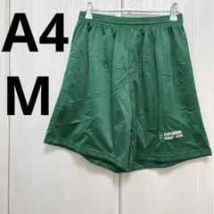 Item thumbnail for item c7a15bf5-00d3-4f14-a0cc-0a71f9c1ae7f