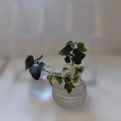 ひなひな様 リクエスト 2点 まとめ商品