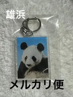 アドベンチャーワールド パンダ 証明写真 キーホルダー 5種セット