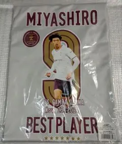 ヴィッセル神戸 宮代大聖 ユニフォーム 9番 Lサイズ - メルカリ