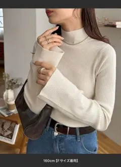 ハイネックフレアスリーブニット　ディスコート