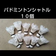 2026年最新】シャトル バドミントン スノーピークの人気アイテム