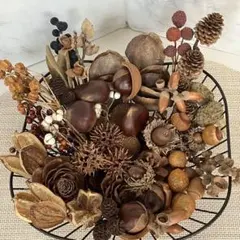 7-1自然素材　木の実ミックス23種 インテリア　アレンジ　リース　自由研究