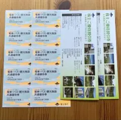 【即日発送】富士急ハイランド ペア 2名様分 優待冊子付のサムネイル