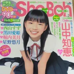 Sho-Boh 2010年6月号vol20 DVD付き - メルカリ