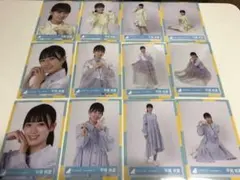 日向坂46 生写真約1000枚 グッズ まとめ売り 2025年最新】日向坂46 生写真 まとめ売りの人気アイテム - メルカリ