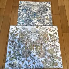 DIOR ギフトボックス 蝶と花のデザイン