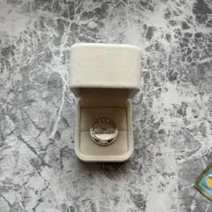 ミセスグリーンアップルホワイトラウンジピンズ&宝石箱