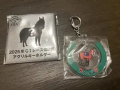 JRA 2025年 G1レース優勝馬 アクリルキーホルダー カランダガンのサムネイル