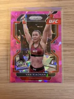 Item thumbnail for item e797257d-4121-429a-b1e0-745e64f76170