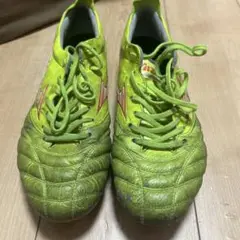 モレリアNEO4