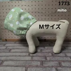 Item thumbnail for item 62f765c2-e376-40f8-a266-bd7f56cd6c9d