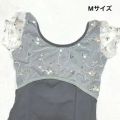 Item thumbnail for item c42ff2b2-30f3-4300-8a1c-a13b9f9ea4b5