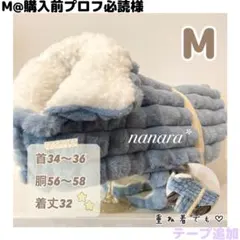 Item thumbnail for item b0b5cd84-55d0-40dc-8832-3eea89e2c7d2