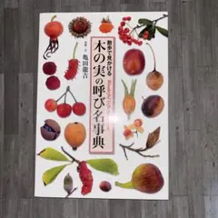 Item thumbnail for item 88b3abee-8fa3-48e9-92cb-40da63e65e5e