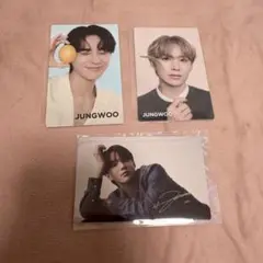 NCT ジョンウ 公式グッズ まとめ売り NCT 127 ジョンウ グッズ セット - メルカリ