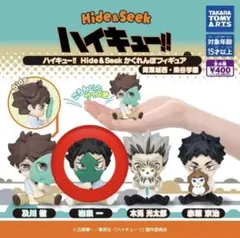 ハイキュー!! Hide&Seek かくれんぼフィギュア 青葉城西 梟谷学園