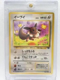 ポンチョを着たイーブイ（ブラッキー） PROMO SM-Pプロモカード 141