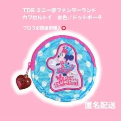 TDR カプセルトイ パルパルーザ ミニーファンダーランド 水色 ドット ポーチ
