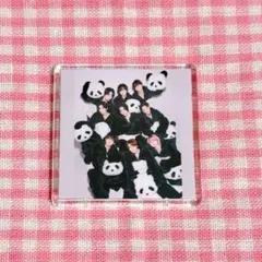 スクエアましかくマグネット1点　 H-1