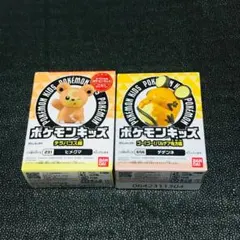 デデンネ　ヒメグマ
