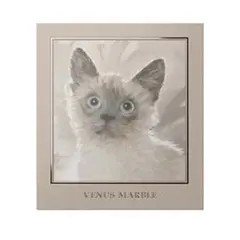 VENUS MARBLE アイシャドウパレット