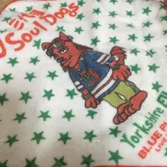 処分品    居酒屋EXILEガチャ