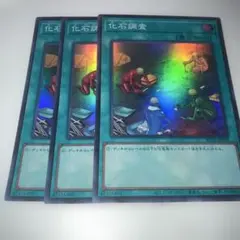 17869 化石調査 スーパー 3枚セット - メルカリ
