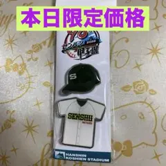 2026年最新】専大松戸 野球の人気アイテム - メルカリ