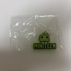 seventeen ミニティーン　めじるしアクセサリー　THE8