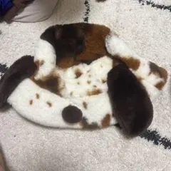 スヌーピー　バケハ