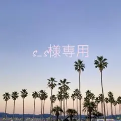 s_s様専用⭐︎ビキニ 水着　サーフィン　リバーシブル　エコビッチのサムネイル