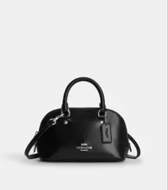 COACH レザー ミニショルダーバッグ ブラック