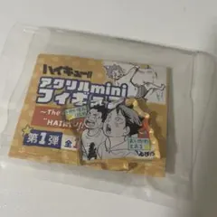 ハイキュー　アクリルminiフィギュア　及川徹　岩泉一　ファンパーク