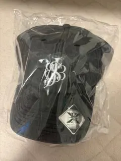 三代目 J SOUL BROTHERS JSB LAND CAP キャップ